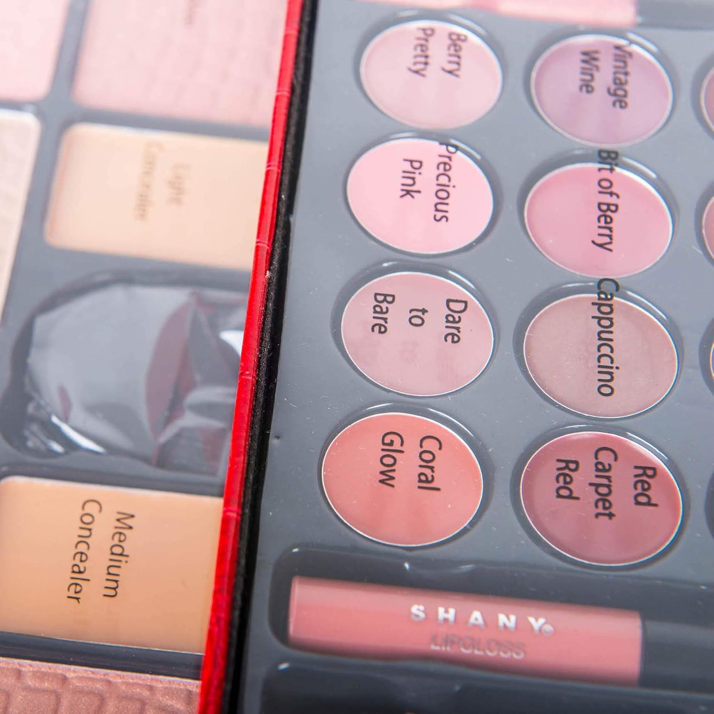 All in One Makeup Kit (Eyeshadow, Blushes, Powder, Lipstick & More) Holiday Exclusive