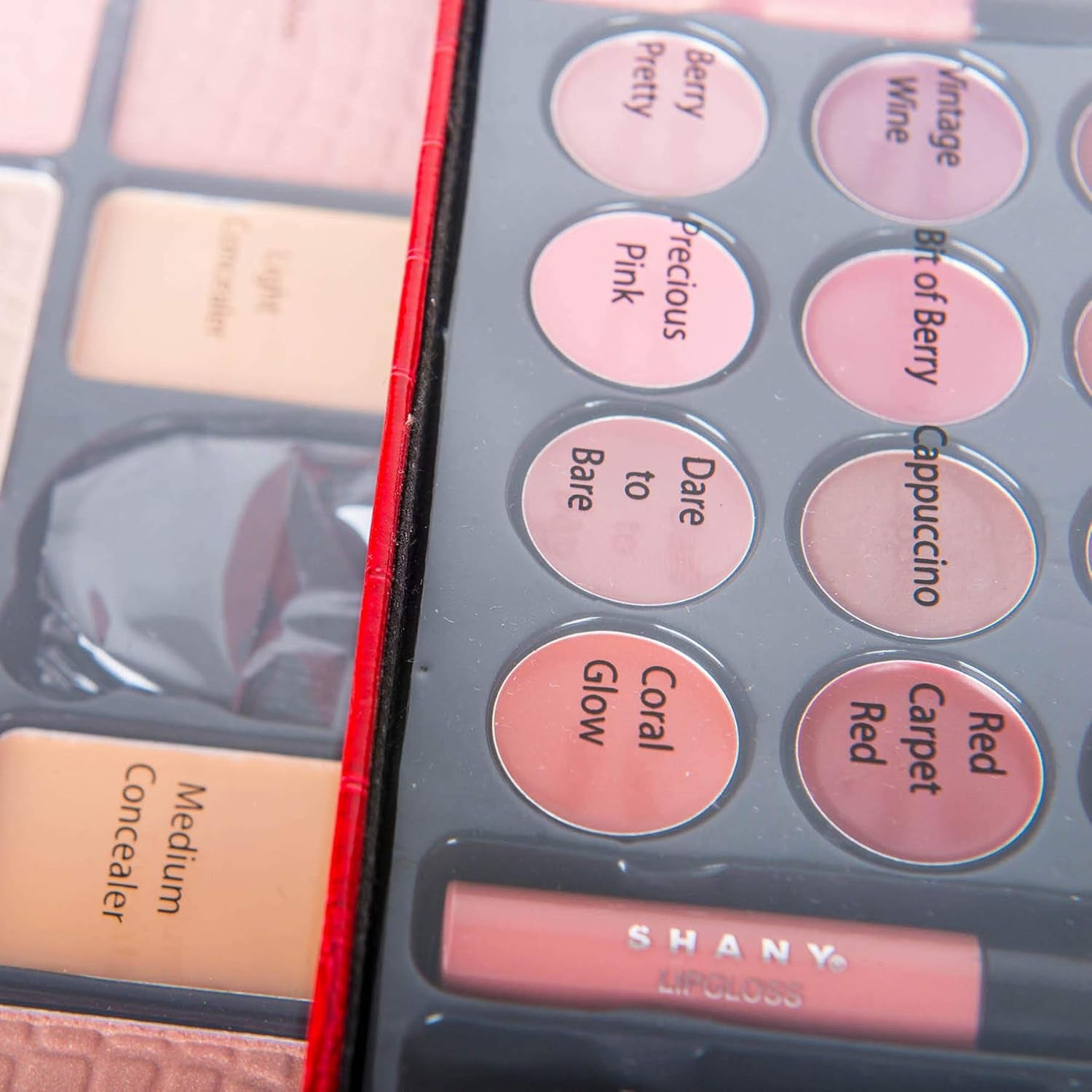 All in One Makeup Kit (Eyeshadow, Blushes, Powder, Lipstick & More) Holiday Exclusive